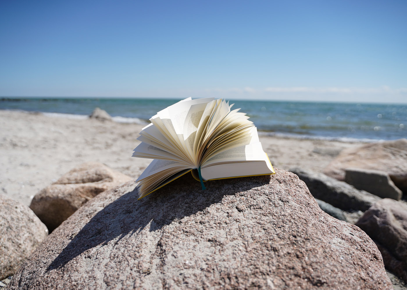 5 Bücher für den Urlaub am Strand