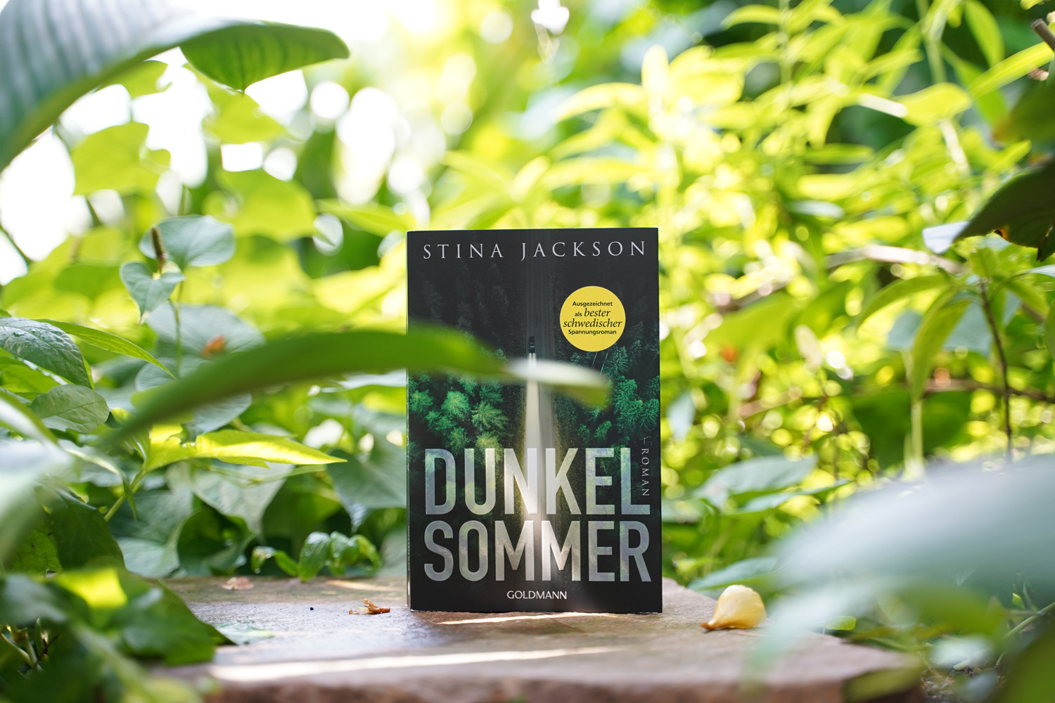 Rezension: Dunkelsommer von Stina Jackson